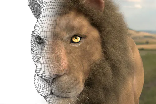 Travail étudiant en Animation 2D/3D dans le Bachelor ITECOM Art Design, RNCP niveau 6 à Paris, Nice ou Aix